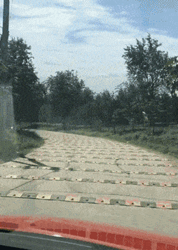 搞笑GIF:哥们为求女友原谅,街头手捧鲜花跪搓衣板