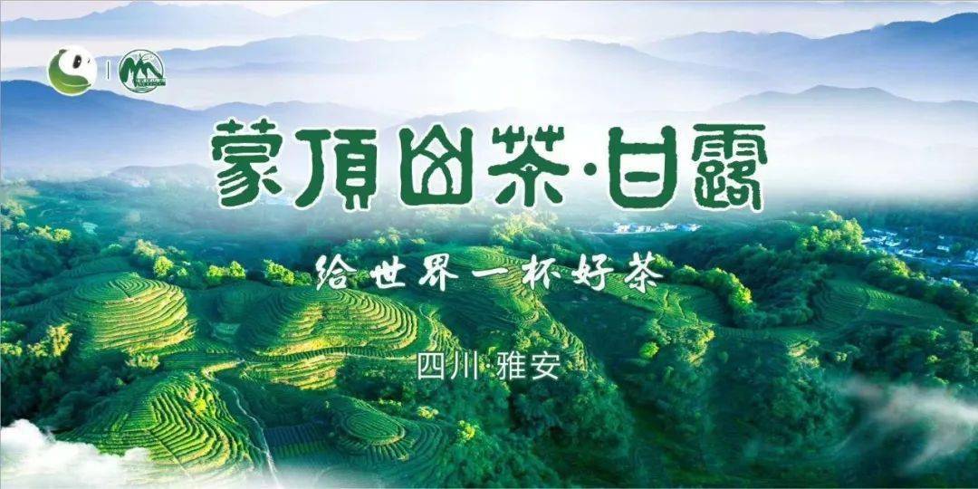 蒙顶山茶荣膺四川省首个"中国气候好产品"