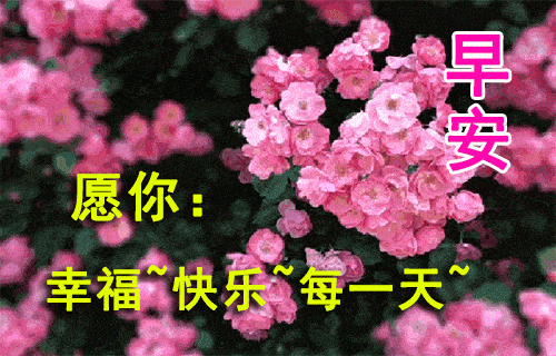 7月最新最美早晨好祝福语动态鲜花表情图片 2020最美早上好问候经典