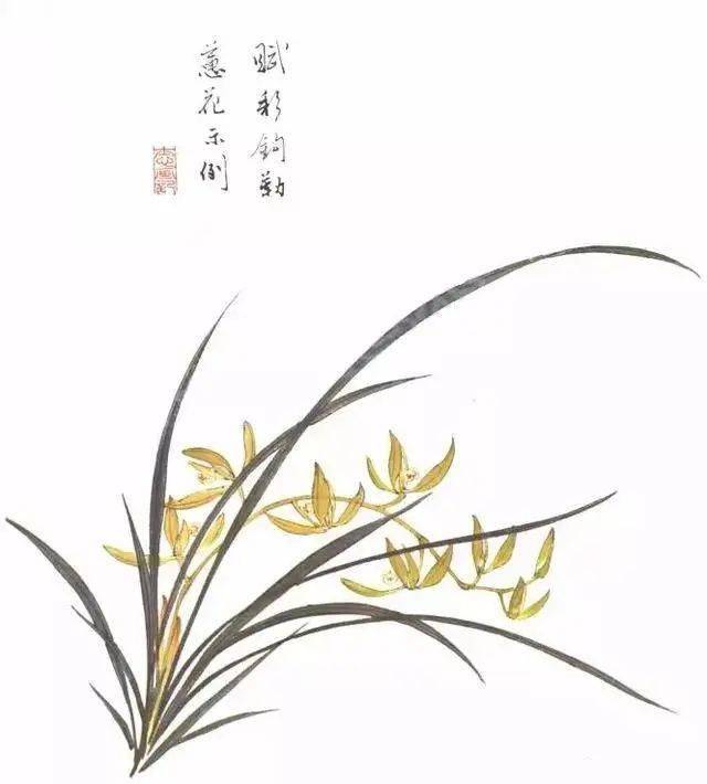 图文教程:兰花的画法详解(下)