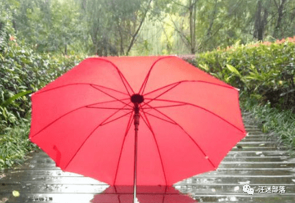 吴毓生 | 一把红雨伞