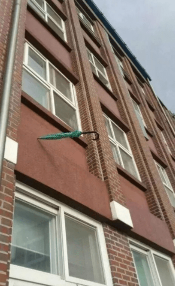 搞笑GIF:大家来向我们的新帮主问好
