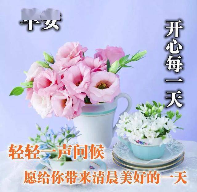 早上好,夏季早安祝福语鲜花图片大全,唯美早晨问候表情