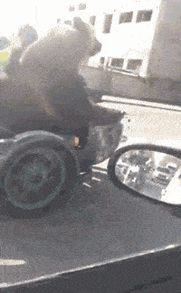 搞笑GIF:看姑娘这走路的姿势,八成是发工资了