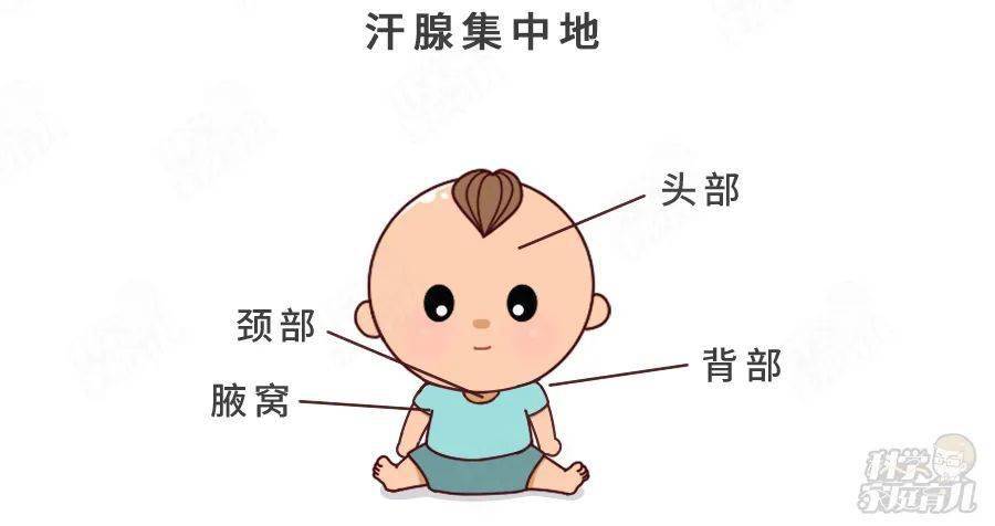 宝宝|宝宝出汗多是体质差?缺钙？真正要担心的是这个！