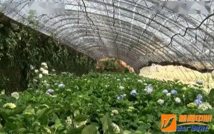 丰润gdp_中国gdp增长图