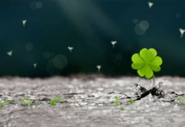 守护|守护每位考生的梦想高考加油！最高标准、最严举措