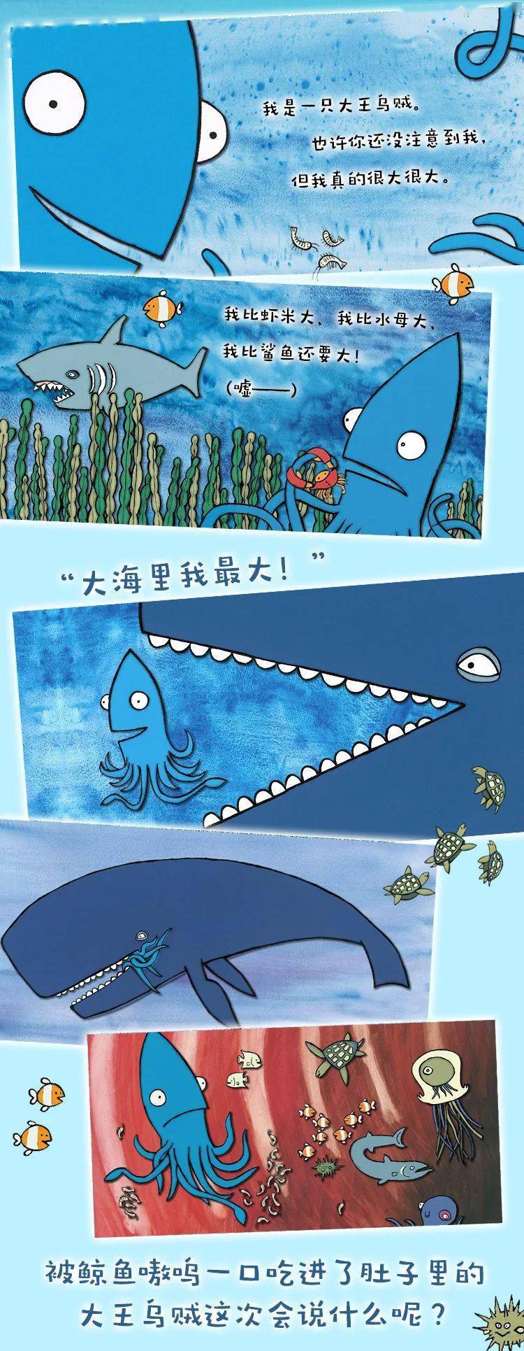 童阅绘海洋绘本声影台丨你知道大海里谁是最大的大王吗