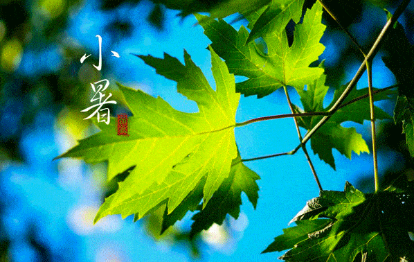 小暑早上好祝福语动态图片大全 小暑节气唯美早安问候