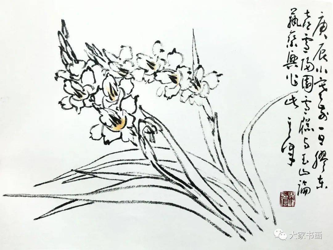 著名画家孙其峰先生课徒稿——竹,梅,玉兰,水仙