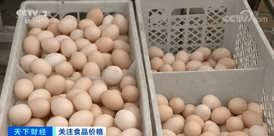 b2e6444f893e4ea0bbaf48b5558405f3.png