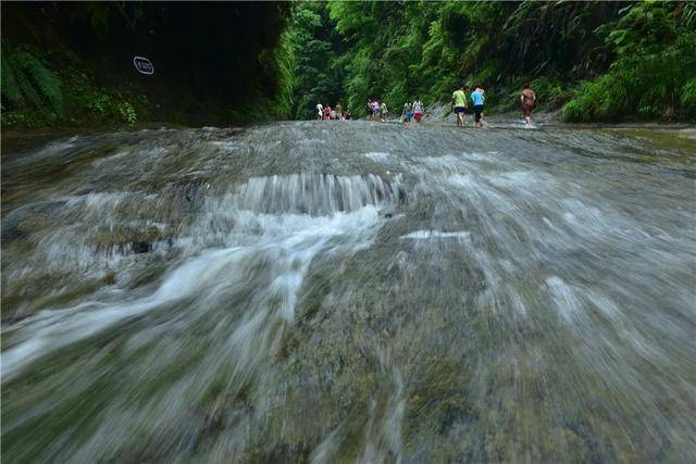 近日,经过精心打造的威远县石板河旅游区正式开园亮相,吸引了众多游客