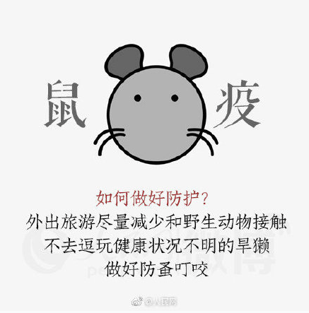 内蒙古一地确诊1例鼠疫病例,启动Ⅲ级预警