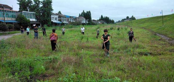 武圣宫镇|严防死守！湖南南县多地已进入保证水位