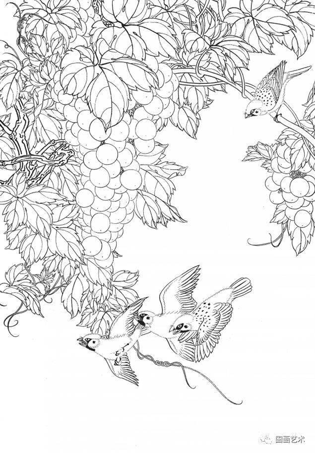 资料分享:一组漂亮的工笔白描花鸟