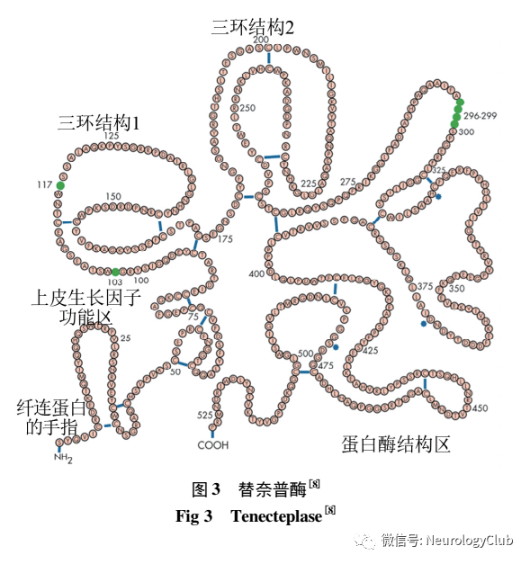 神经综述：替奈普酶治疗急性缺血性脑卒中_rtPA