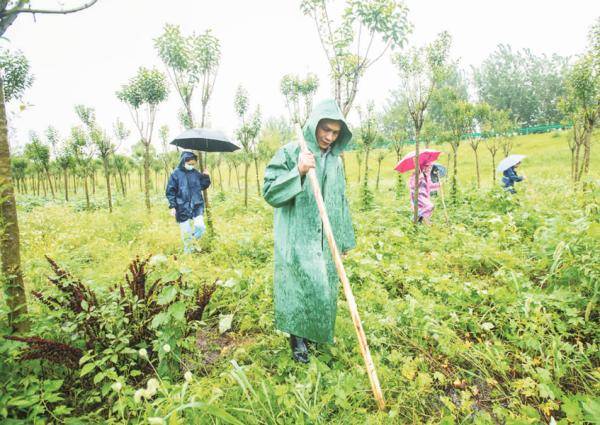 长江|这些黄石防汛一线的画面，应该被记住！