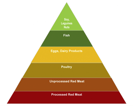 优质蛋白有哪些及热量 9e00f4a00aa84dab864f88a3962448bd.png