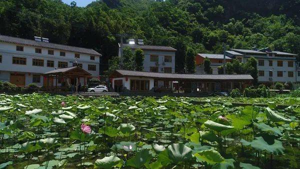 郧西美景之田园沙沟茶马古道上的美丽乡村