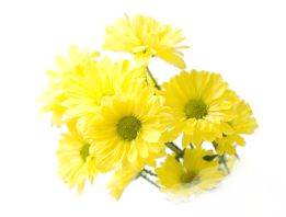 陈薇薇|高三女生弥留之际捐献遗体，高考当日妈妈发文缅怀