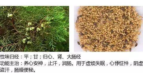 史上最全中草药图谱(附主治功效)