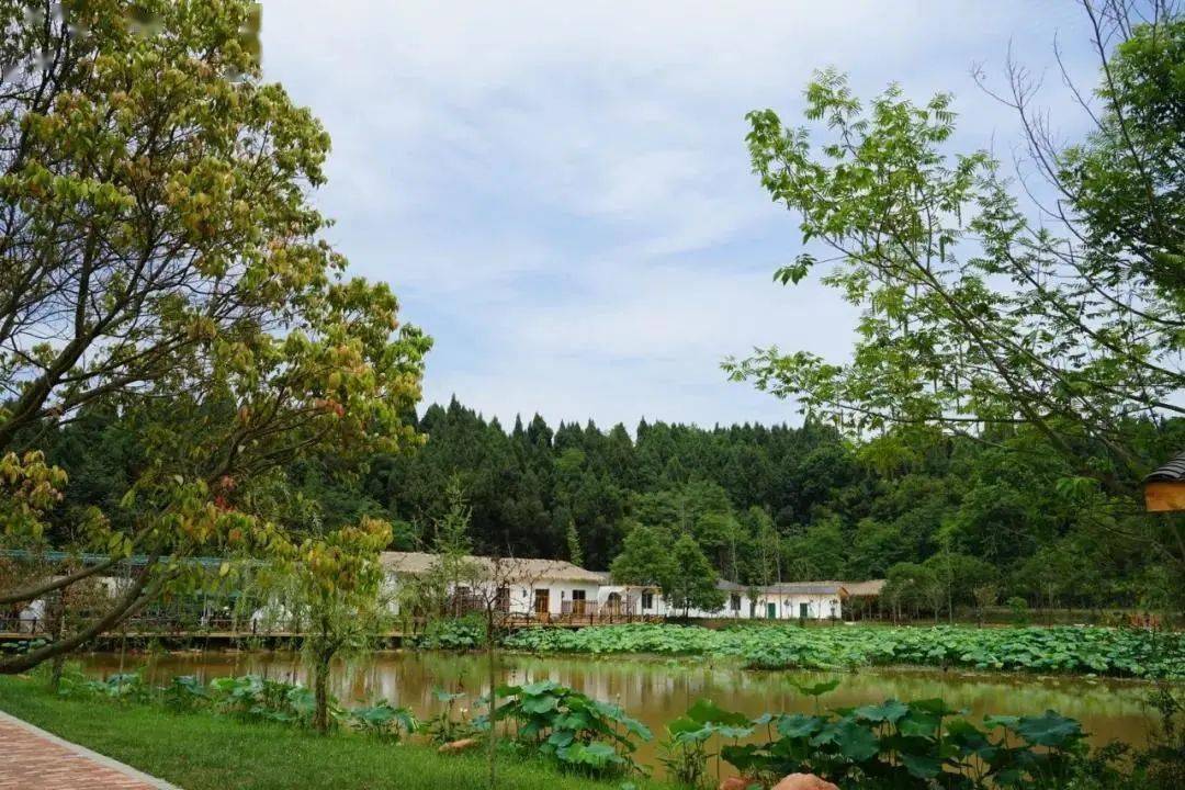来了来了摘果赏花乘凉德阳城郊这个花果山终于开园啦