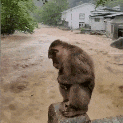 福建多地有大暴雨!多人被困!快看,同安的天气