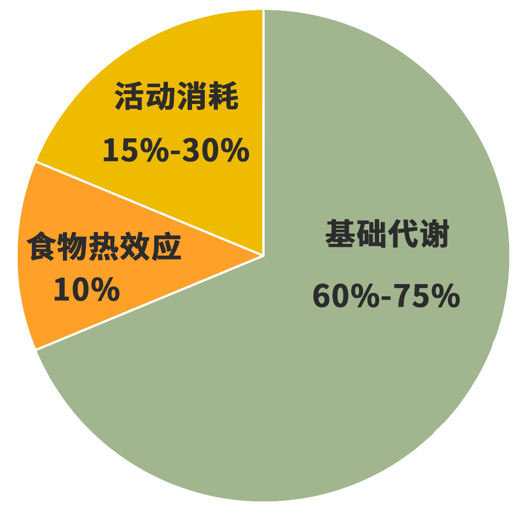 首先,我们要知道,身体每天消耗热量中约10%用于食物热效应76,它是