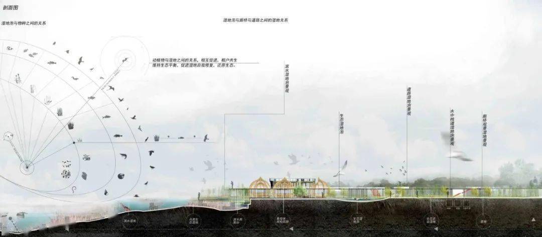 国际竞赛公开招标顶级素材保驾护航湿地景观生态农业艺术空间psd分析