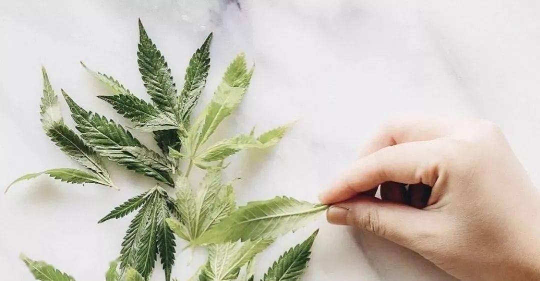 大麻|女生想要的适合,无非是这个样子的。