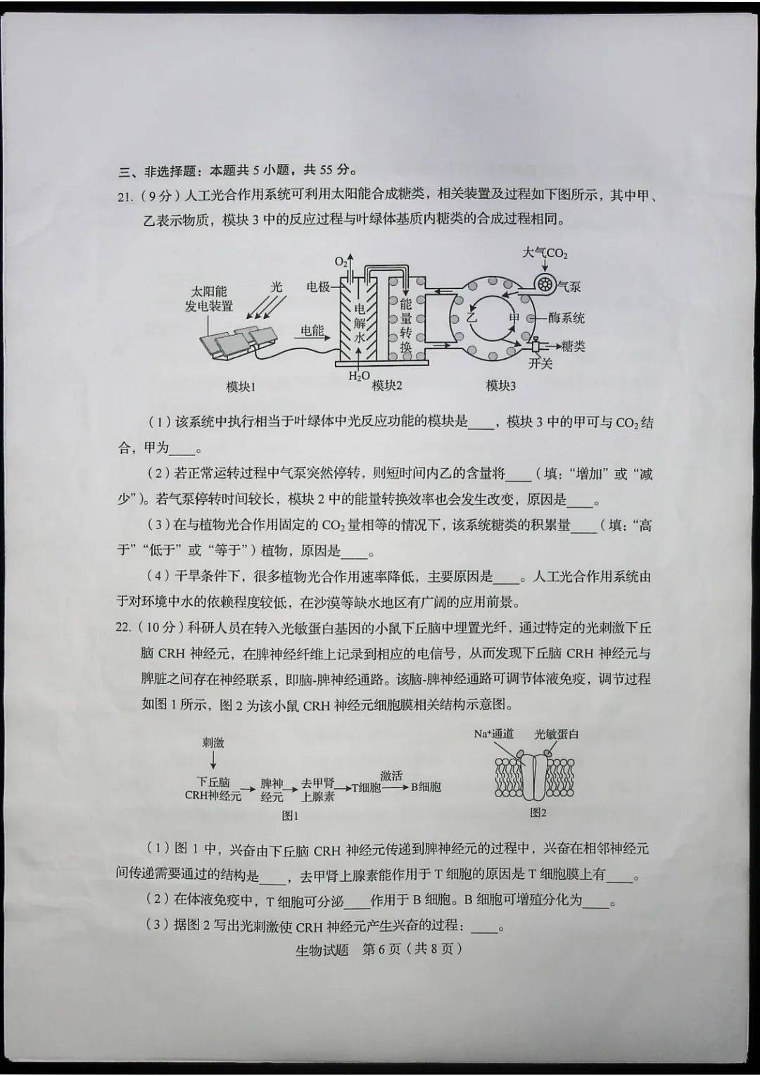 考试题|2020山东高考试题+答案来了，快来估分！7月26日公布成绩
