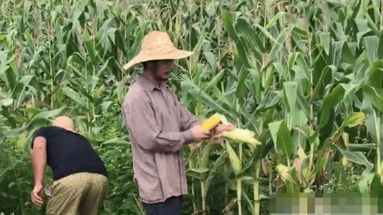 周冬雨|李佳琦落户上海、周冬雨片酬1亿!孩子,你凭什么不努力