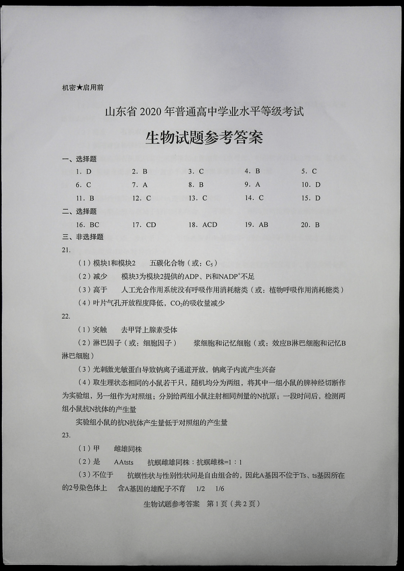 答案|高考答案 | 2020年山东高考答案来啦！