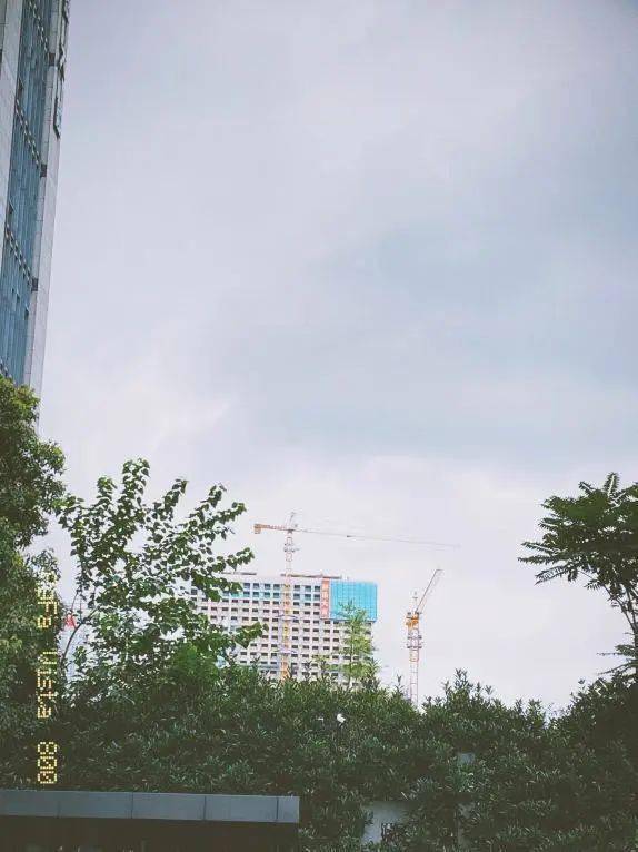 胶片|超实用的胶片风app安利!新手也能拍出大片!