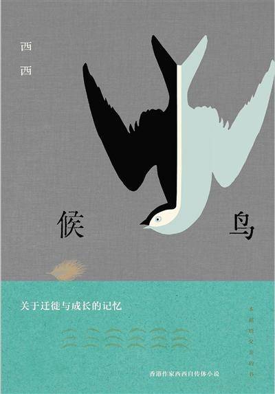 候鸟|《候鸟》《织巢》