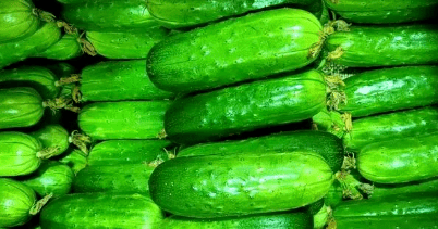 584f8a5a112443c9898d5ed5f21e23b4.png