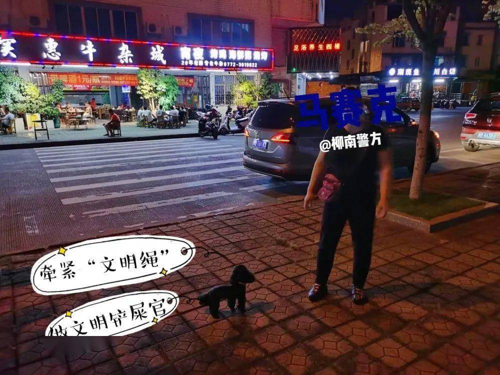 2020西柳GDP_西柳美女(2)