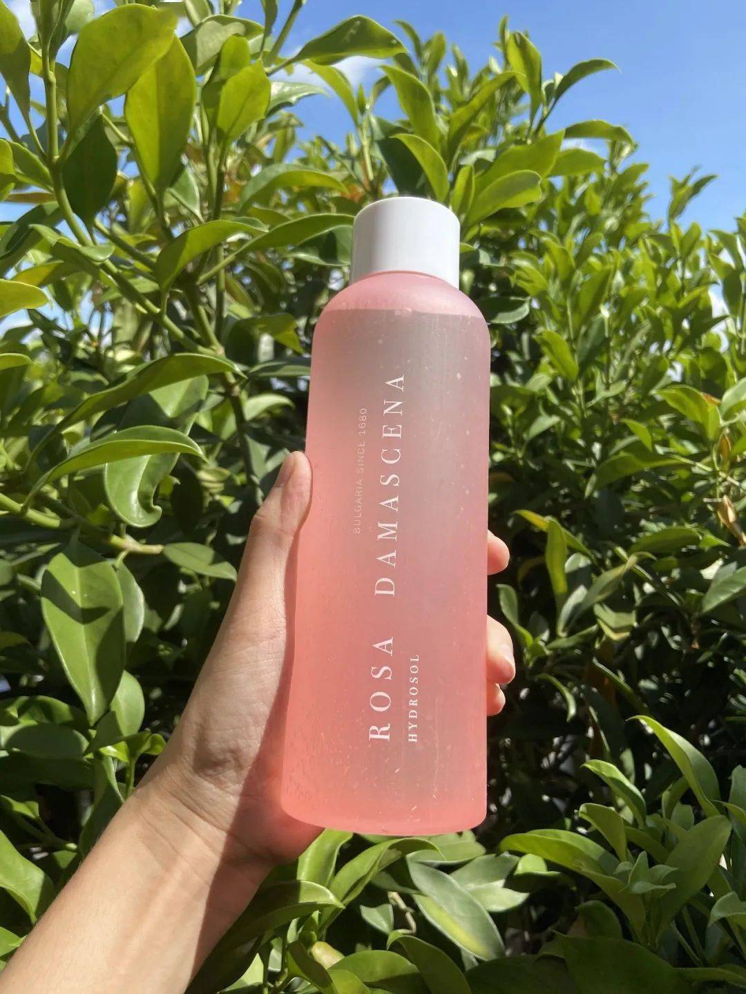 换肤|90天换肤计划，没想到7天就有效果了