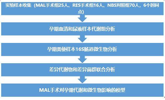 aa18d499140642d494a951d262e5d070.png