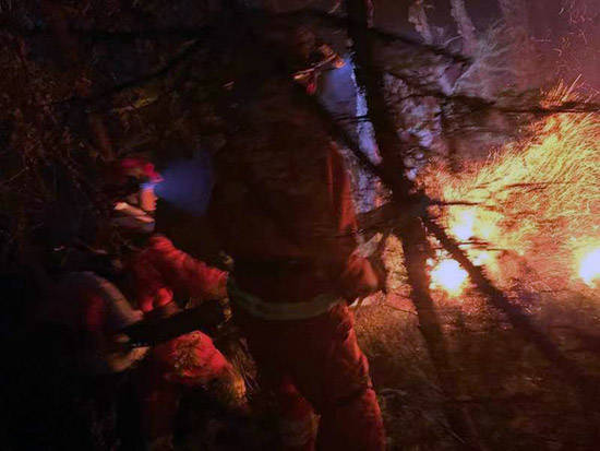 林区|内蒙古大兴安岭林区12日发生13起雷电森林火灾 已合围扑灭11起2起得到有效控制