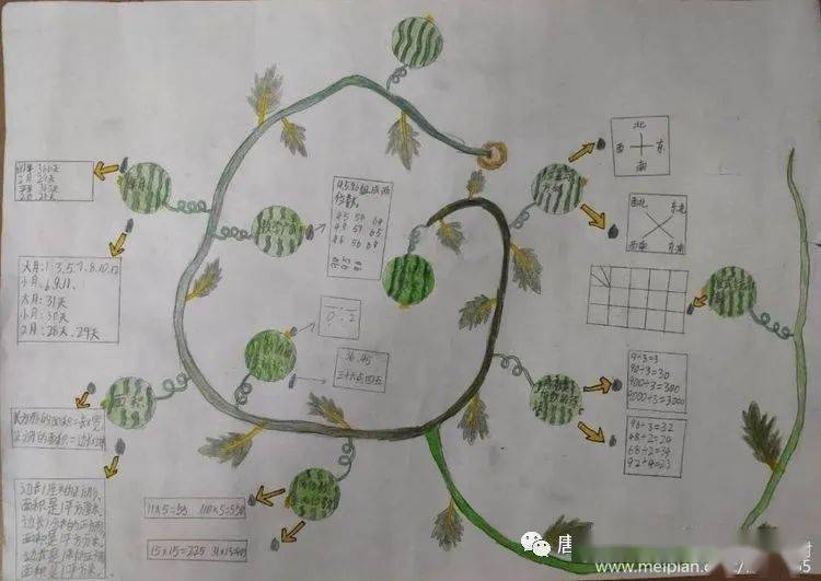 绽放思维之花唐山市路北区兴盛丽景小学三年级数学思维导图作品展示