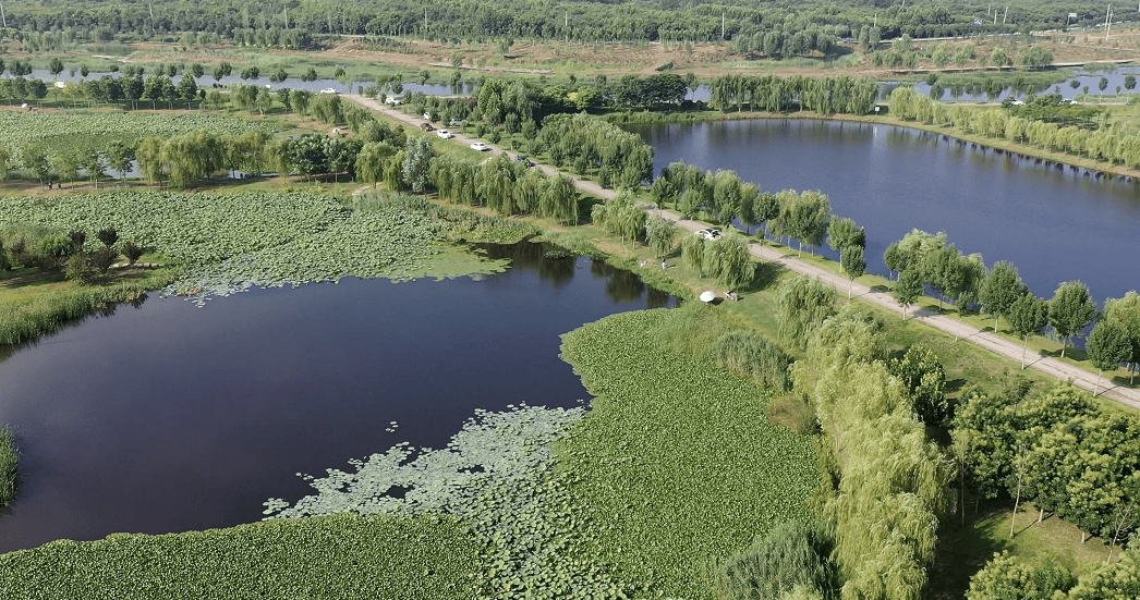 网友实拍:菏泽七里河湿地公园,部分区域垃圾遍地.