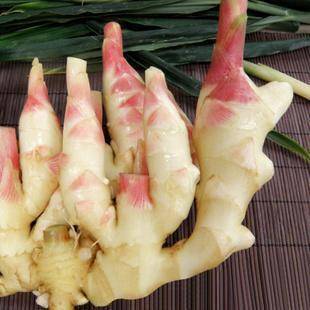 子姜怎样泡 d63c69b7e19a4bcd909fa696fdb53810.jpeg