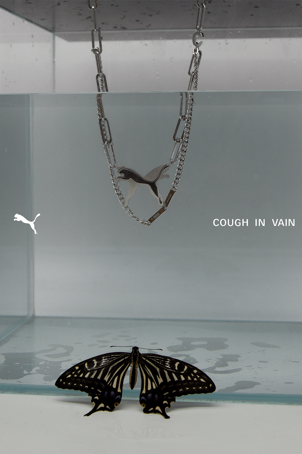 Jennie|继A$AP Rocky之后，Jennie、Kylie等人的种草又让蝴蝶元素在今年爆火。