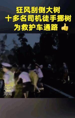 孩子|司机报警求闯红灯，连声说“没办法了”！背后原因感人