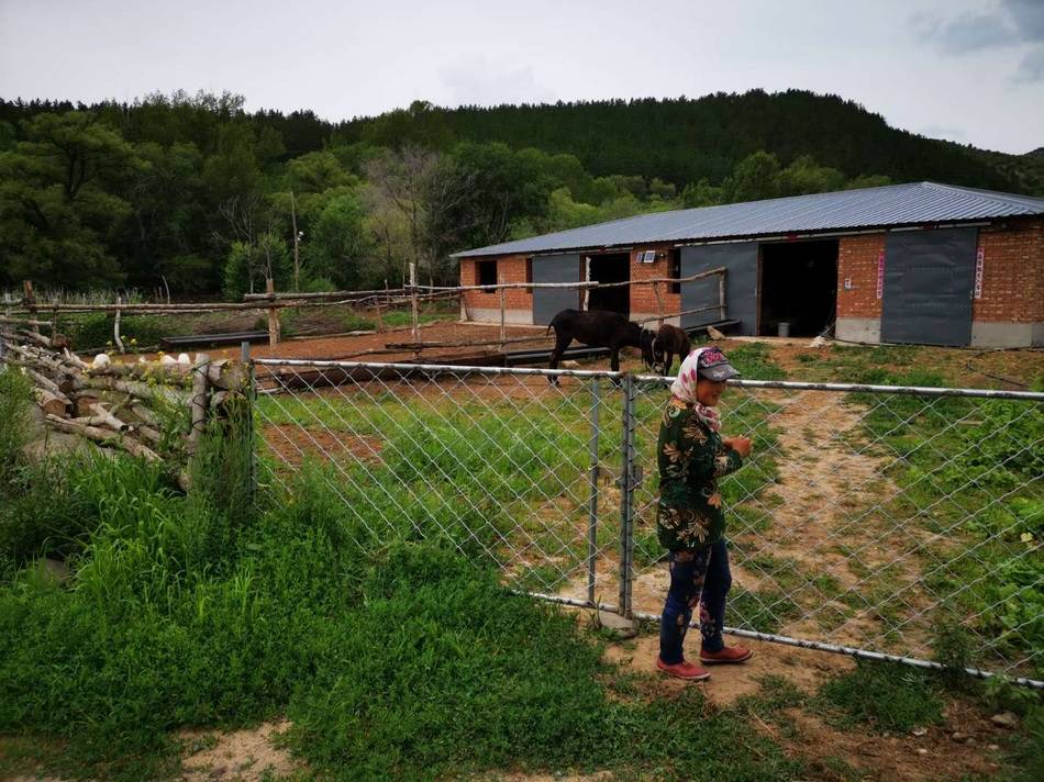 老人民营养老院杀人事件:坏脾气老头与稀缺护工