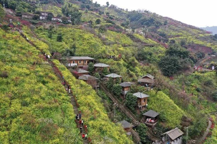 荒地大变样 你要是见过曾经的南山街道放牛村 你绝对不会把它和如今