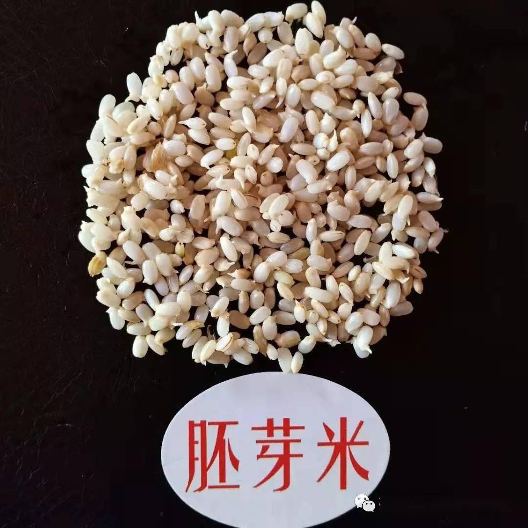 100斤稻谷价格表 00d378d1a4ec45df825cc6cd42970a3a.jpeg