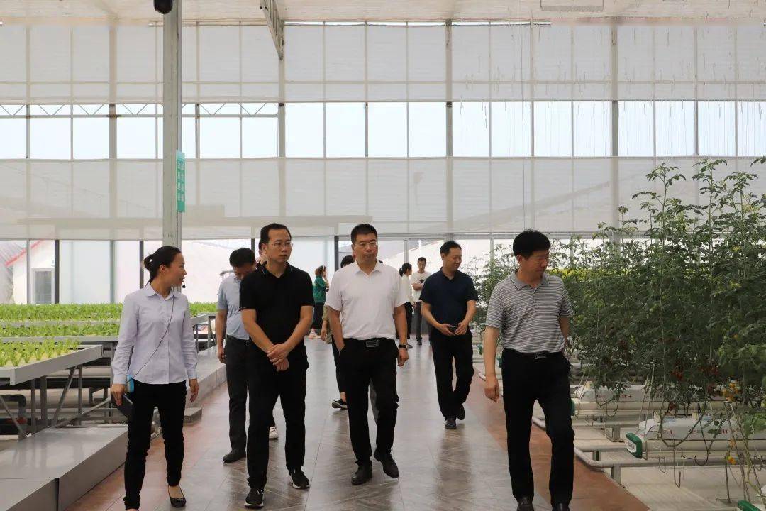 河南省焦作市博爱县副县长谷九江带队到田柳镇考察_手机搜狐网