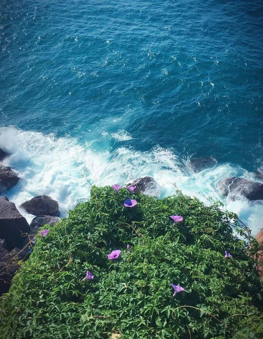 在最美的季节, 要去最美的地方, 遇见最美的风景, 遇见最好的夏天